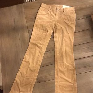 NWT Loft pants